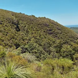 Mount Coolum National Park - Coolum Beach
