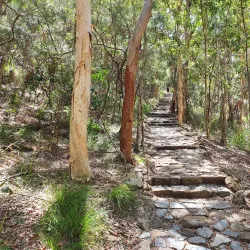 Mount Coolum National Park - Coolum Beach