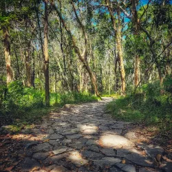 Mount Coolum National Park - Coolum Beach