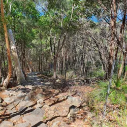 Mount Coolum National Park - Coolum Beach