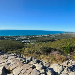 Mount Coolum Walking Track - Coolum Beach