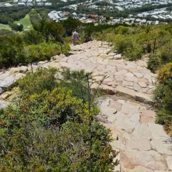 Mount Coolum Walking Track - Coolum Beach