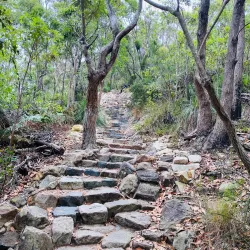 Mount Coolum Walking Track - Coolum Beach