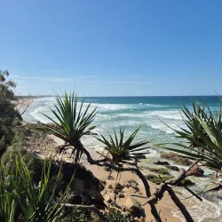 Point Perry Lookout - Coolum Beach