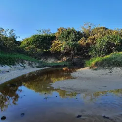 Yaroomba Beach - Coolum Beach
