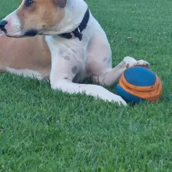 Anzac Park - Cootamundra