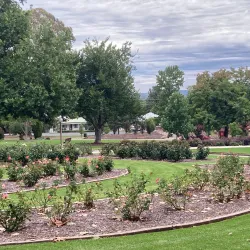 Cootamundra Botanic Gardens - Cootamundra