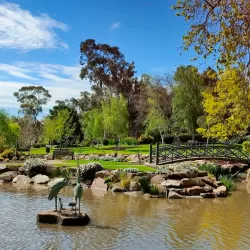 Cootamundra Botanic Gardens - Cootamundra