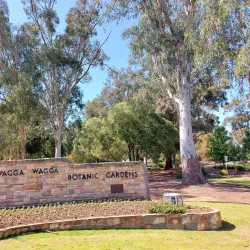 Cootamundra Botanic Gardens - Cootamundra