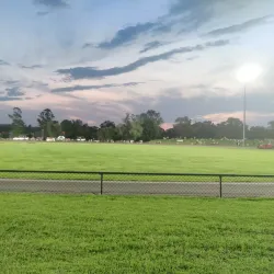 Cootamundra Farmers Market - Cootamundra