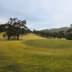 Cootamundra Golf Club - Cootamundra