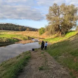 Cootamundra Golf Club - Cootamundra