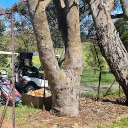 Cootamundra Golf Club - Cootamundra