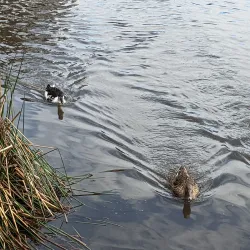 Casey Fields - Cranbourne