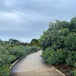 Cranbourne Botanic Gardens Visitor Centre - Cranbourne