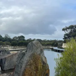 Cranbourne Botanic Gardens Visitor Centre - Cranbourne