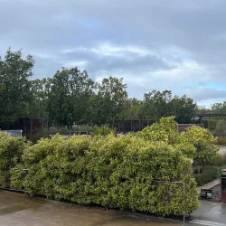 Cranbourne Botanic Gardens Visitor Centre - Cranbourne