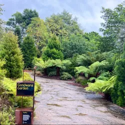 Cranbourne Botanic Gardens Visitor Centre - Cranbourne