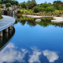Cranbourne Regional Park - Cranbourne
