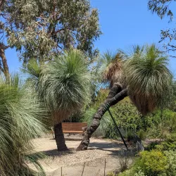 Cranbourne Regional Park - Cranbourne