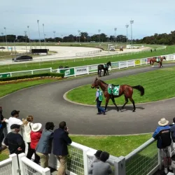 Cranbourne Turf Club - Cranbourne