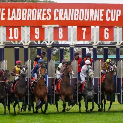 Cranbourne Turf Club - Cranbourne