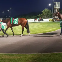 Cranbourne Turf Club - Cranbourne
