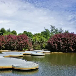 Royal Botanic Gardens Victoria - Cranbourne - Cranbourne