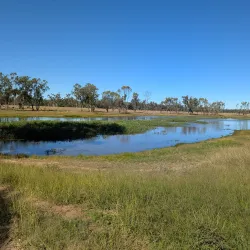 Myall Park Botanic Garden - Dalby