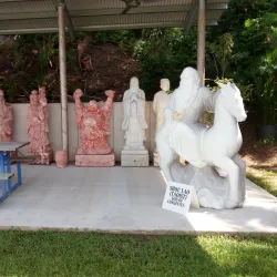 Aquascene Fish Feeding - Darwin