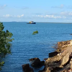 Aquascene Fish Feeding - Darwin