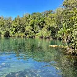Berry Springs Nature Park - Darwin