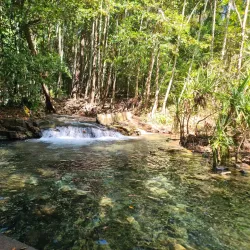 Berry Springs Nature Park - Darwin
