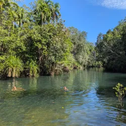 Berry Springs Nature Park - Darwin