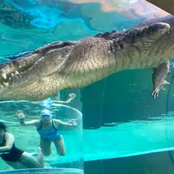 Crocosaurus Cove - Darwin