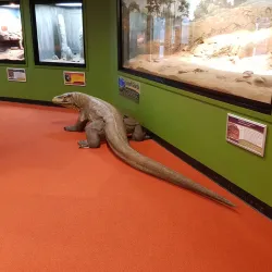 Crocosaurus Cove - Darwin