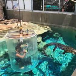 Crocosaurus Cove - Darwin