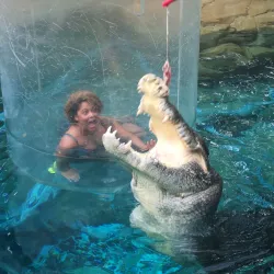 Crocosaurus Cove - Darwin