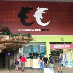 Crocosaurus Cove - Darwin