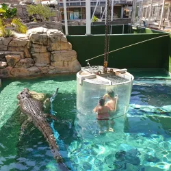 Crocosaurus Cove - Darwin