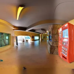 Crocosaurus Cove - Darwin