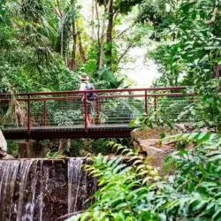 George Brown Darwin Botanic Gardens - Darwin