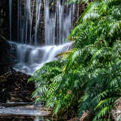 George Brown Darwin Botanic Gardens - Darwin
