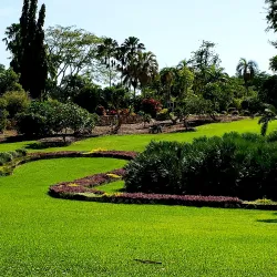 George Brown Darwin Botanic Gardens - Darwin