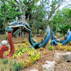 George Brown Darwin Botanic Gardens - Darwin