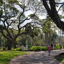 George Brown Darwin Botanic Gardens - Darwin