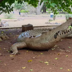 George Brown Darwin Botanic Gardens - Darwin