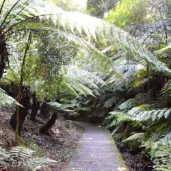 George Brown Darwin Botanic Gardens - Darwin
