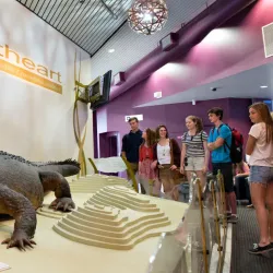 Museum and Art Gallery of the Northern Territory - Darwin