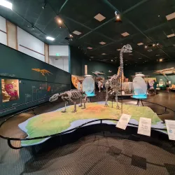 Museum and Art Gallery of the Northern Territory - Darwin